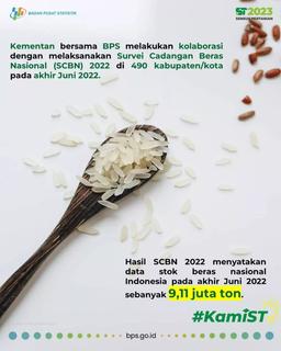 Bagaimana Stok Beras di Indonesia?