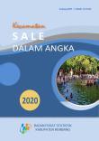 Kecamatan Sale Dalam Angka 2020