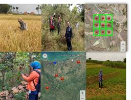 Pelaksanaan Survei Kerangka Sampel Area (KSA) 2017 BPS Kabupaten Rembang