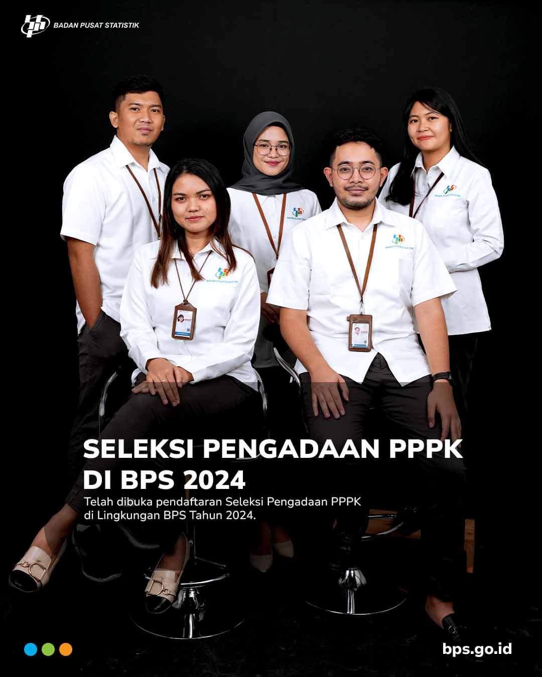 Seleksi Pengadaan PPPK di BPS 2024