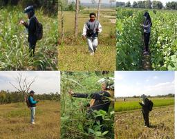 Implementation of Final Phase Surveys of Area Sampling Framework (KSA) 2017 BPS Kabupaten Rembang